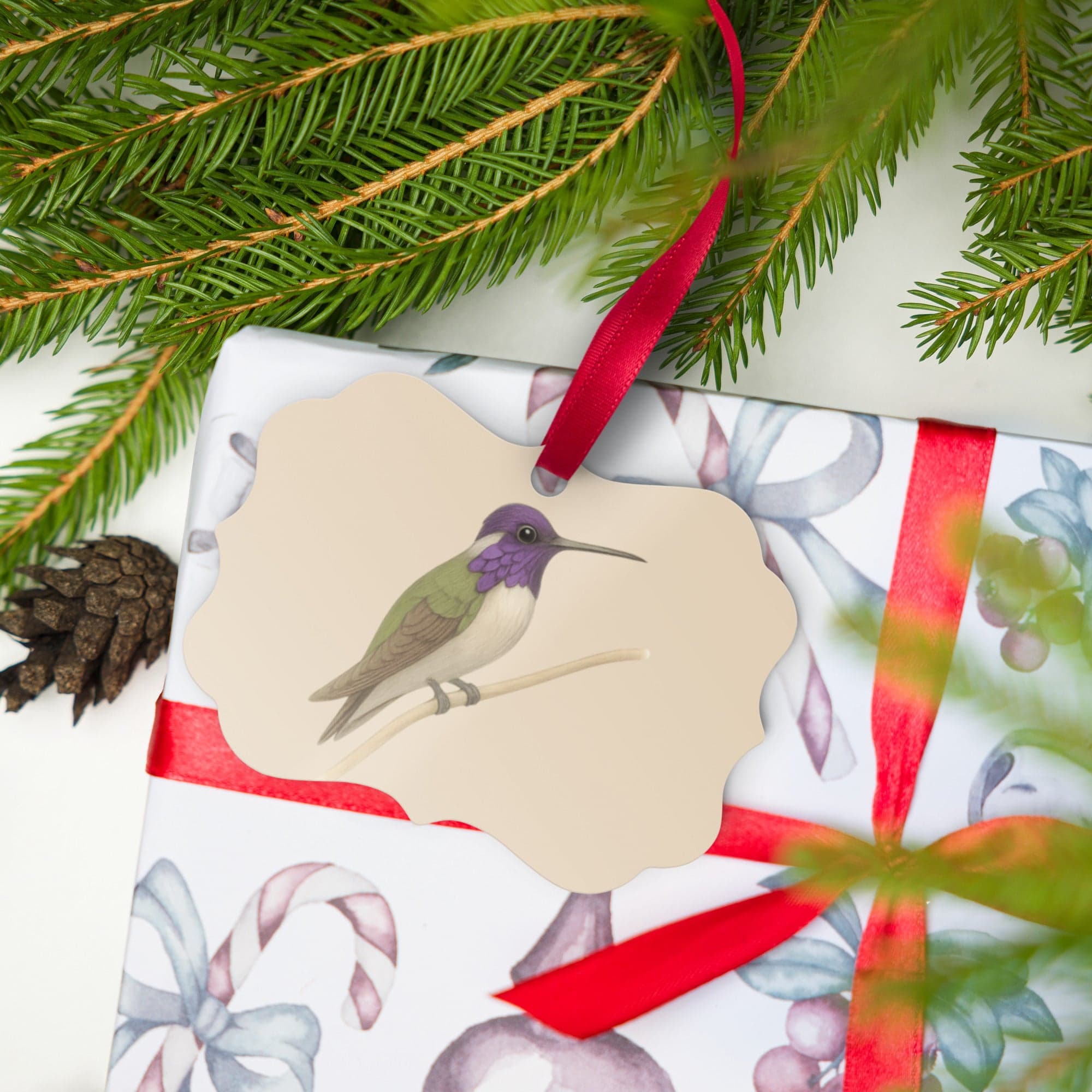 Costa's Hummingbird Scalloped Ornament